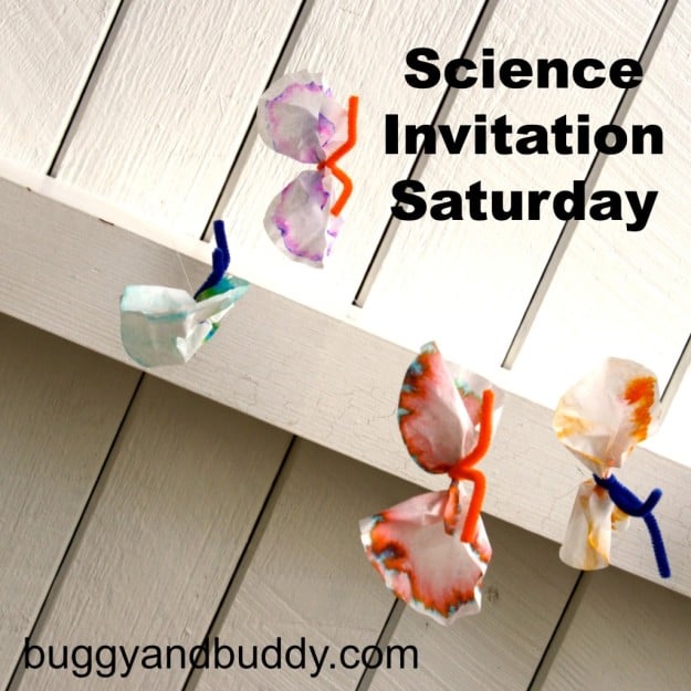 science invitation saturday