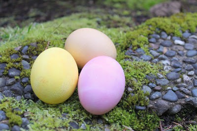 Dyeing Easter Eggs Naturally