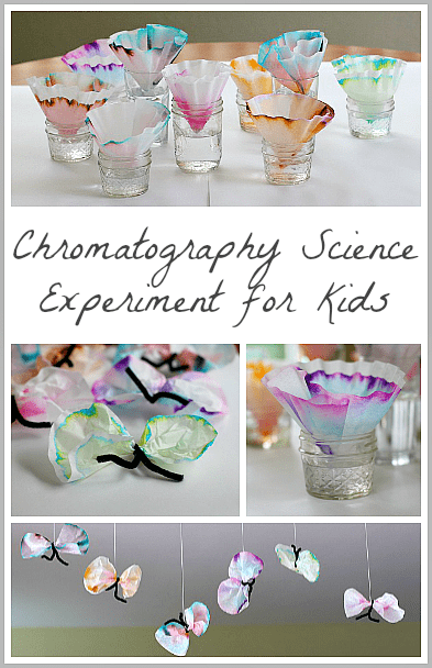 Science for Kids: Chromatography Butterfly Craft ~ Buggy and Buddy