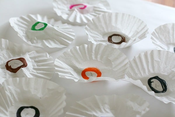 Preparing coffee filters for chromatography experiment
