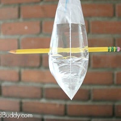 Science for Kids: Baggie and Pencil Magic