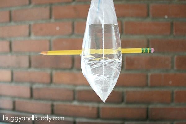 magic baggie and pencil science trick for kids