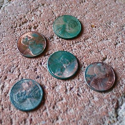 Chemical Reactions: Make a Penny Turn Green (with free printable)