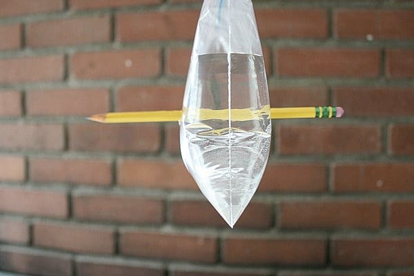 Baggie and Pencil Science Experiment for Kids