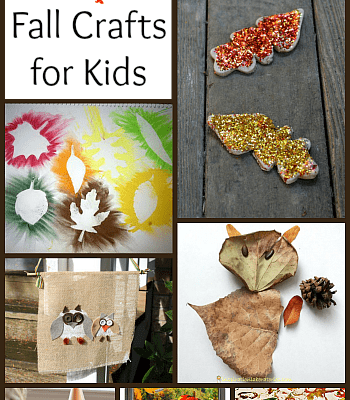 10+ Unique Fall Crafts for Kids to Make