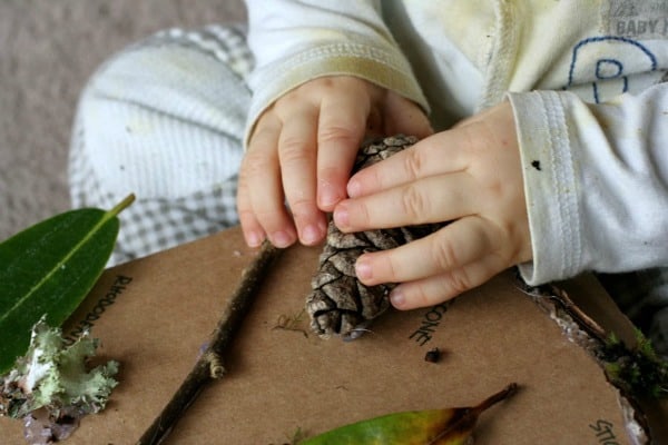 Nature Sensory Board~ Fun at Home with Kids