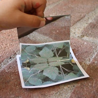 Finding Symmetry in Nature (Outdoor Math Activity for Kids)