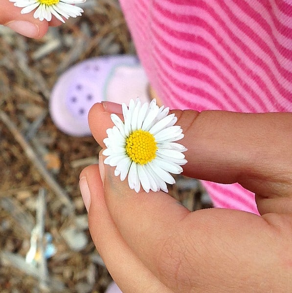 Finding Symmetry in Nature (Outdoor Activity for Kids)~ Buggy and Buddy