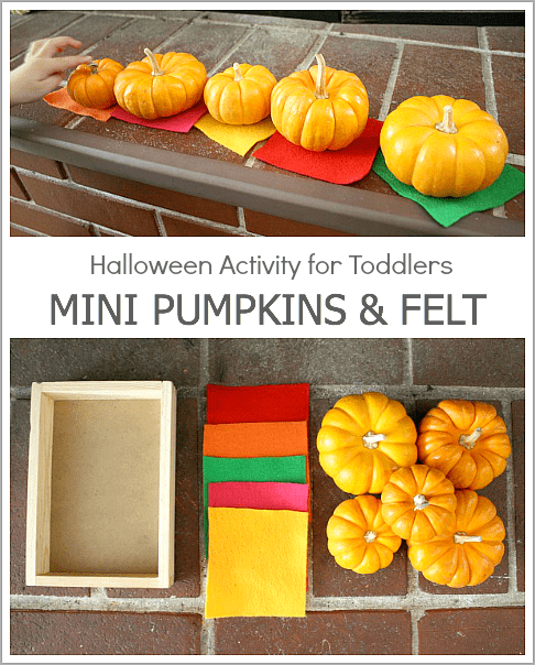 Open-Ended Halloween Activity for Toddlers Using Mini Pumpkins and Felt~ BuggyandBuddy.com