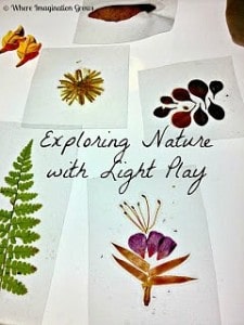 Learning Activities Inspired by Nature - Buggy and Buddy