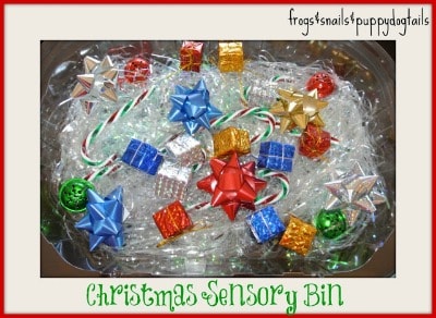 Christmas Sensory Bin~ Frogs and Snails and Puppy Dog Tails