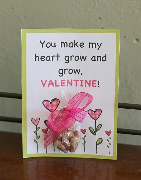 These plant and seeds homemade valentines are so easy to assemble and even come with a free printable! Keep on reading to find out all the fun variations to this unique homemade valentine!