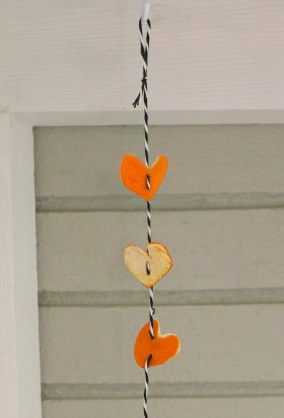 Vertical Heart Garland from Orange Peels