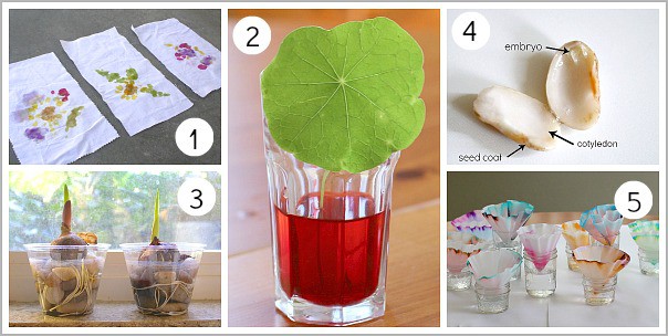 Spring Themed Science Activities from Buggy and Buddy