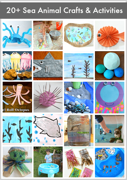 Over 20 Sea Animal Crafts and Activities for Kids