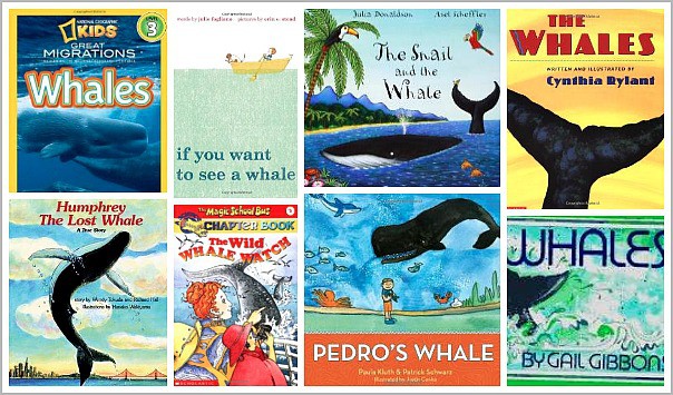 40 Children S Books About Ocean Animals Buggy And Buddy