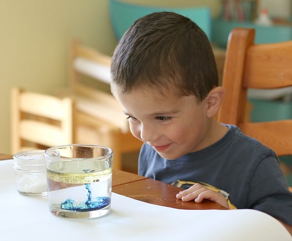Cool Science Experiments: Exploring the Density of Liquids- Buggy and Buddy