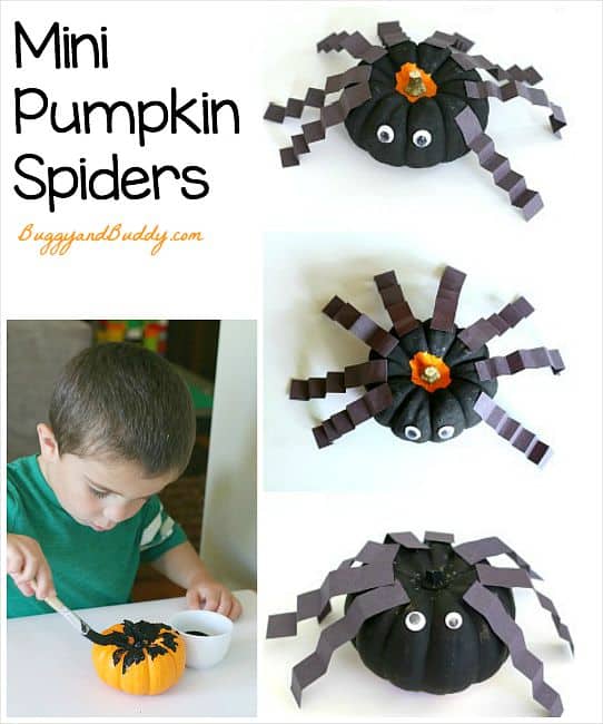 Spider Craft for Kids Using Mini Pumpkins (Great Halloween activity!) ~ BuggyandBuddy.com