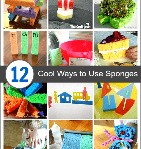 12 Cool Sponge Crafts and Activities for Kids