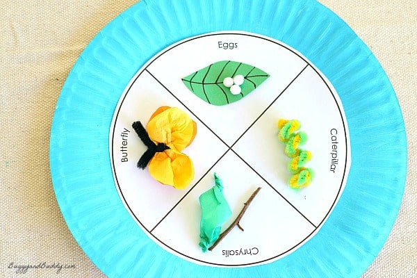 Butterfly Life Cycle Paper Plate Craft for Kids (w/ FREE template)~ BuggyandBuddy.com