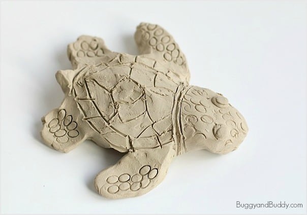 Ocean Animal Art Project for Kids: Make Sea Turtles Using Clay
