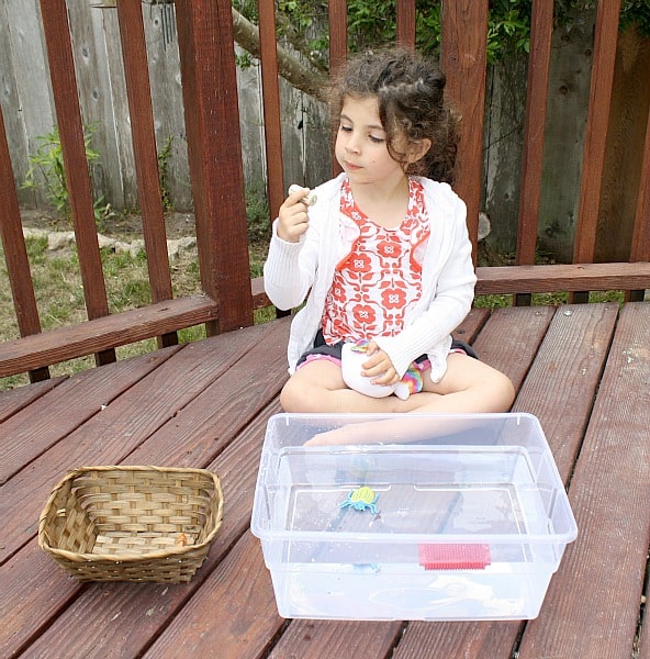 sink or float science activity for kids w/ free printable