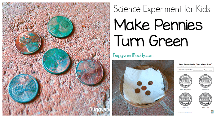 Science Experiments for Kids: How to make a penny green.