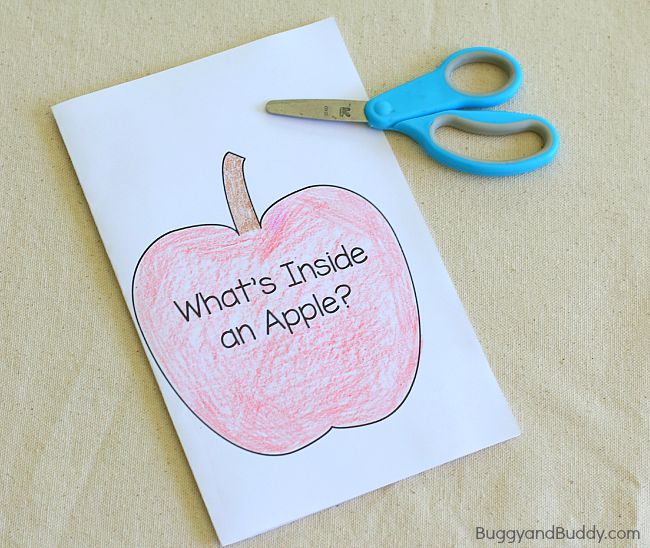 cut out the apple recording sheet