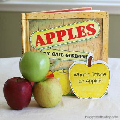 Apple Science for Kids: Exploring the Inside of an Apple