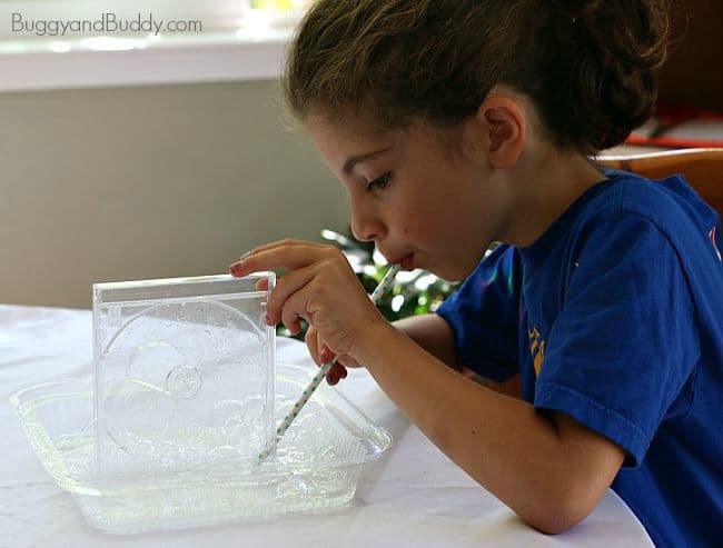 bubble science for kids