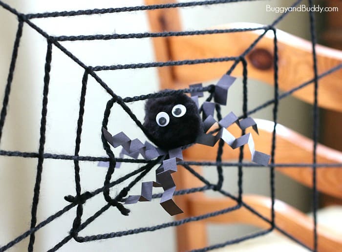 spider web science experiment for kids