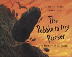the pebble in my pocket