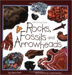 rocks, fossils, and arrowheads