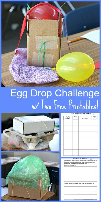 Egg Drop Challenge with 2 FREE Printable Recording Sheets- Fun STEM activity for kids of all ages! ~ BuggyandBuddy.com