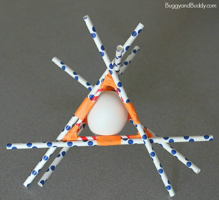 STEM for Kids: Egg Drop Project - Buggy and Buddy