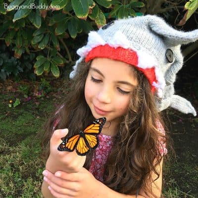Exploring the Monarch Butterfly Life Cycle with Kids