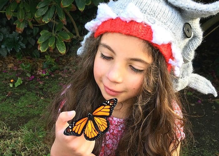 the monarch butterfly life cycle with kids