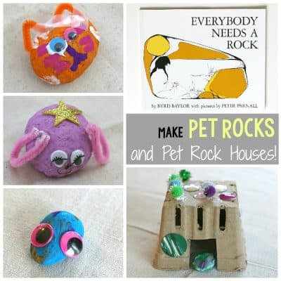 Making Pet Rocks and Pet Rock Houses
