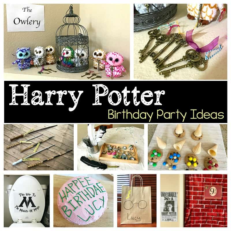 harry potter birthday part ideas for kids