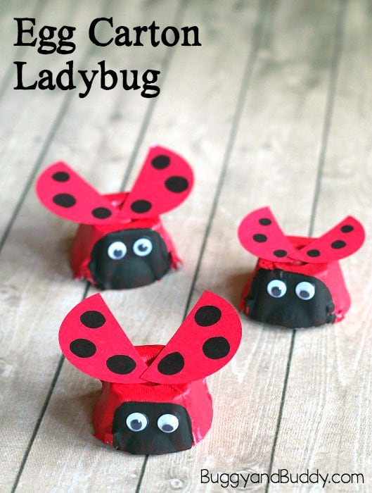 egg carton ladybug craft for kids