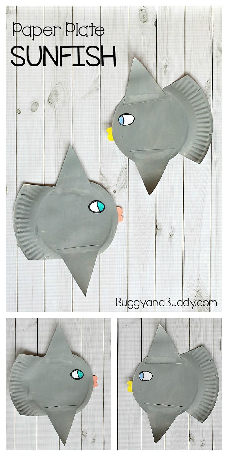 paper plate sunfish craft for kids- sunfish or mola fish