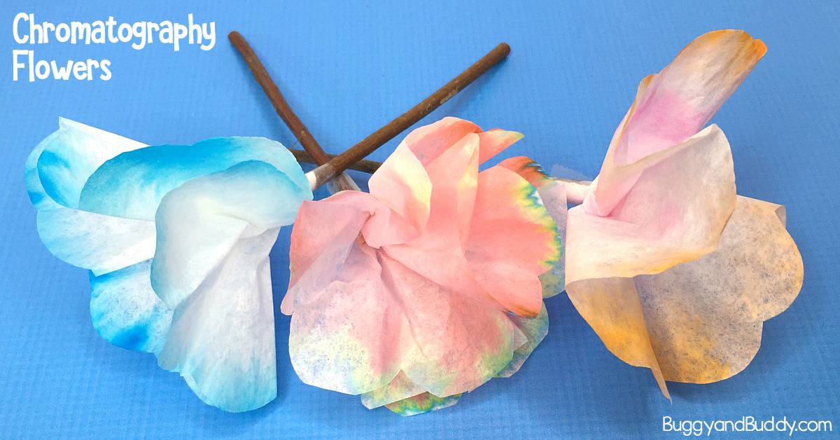 STEAM for Kids: Explore chromatography with coffee filters and make them into coffee filter flower craft