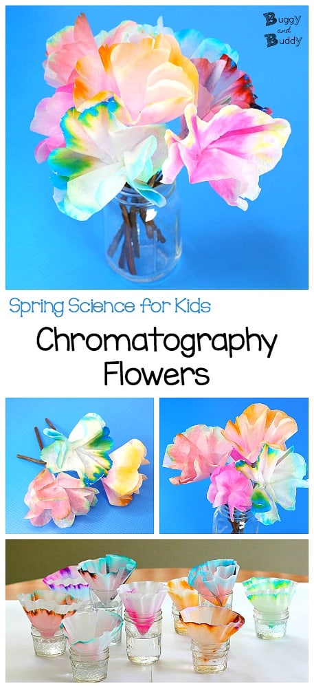 Spring Science for Kids (STEAM Activity): Make chromatography flowers using coffee filters