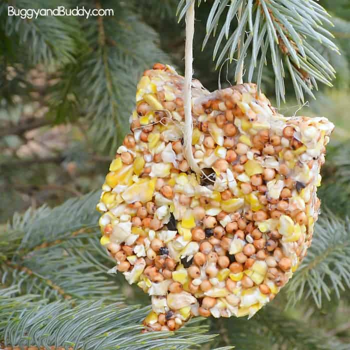 diy birdseed ornaments craft for kids