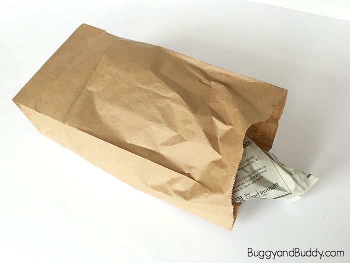 stuff a brown paper lunch bag to make your sea otter craft
