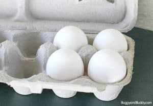 Egg Drop Project with Printable Recording Sheets - Buggy and Buddy