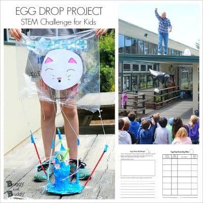 Egg Drop Project  with Printable Recording Sheets
