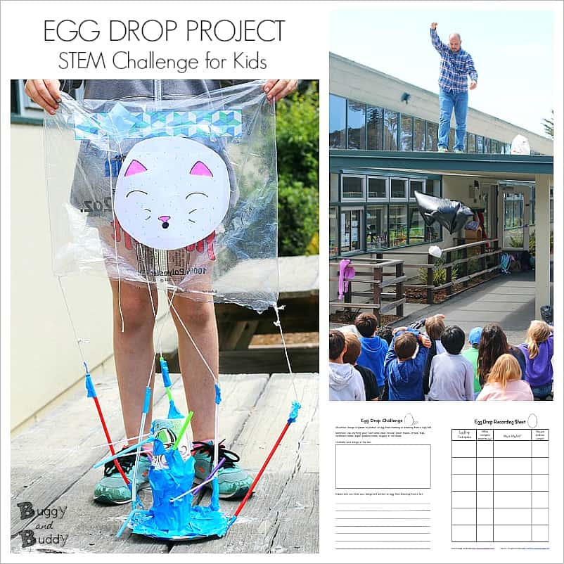 STEM Challenge for Kid: Egg Drop Project
