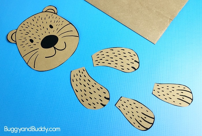 cut out the sea otter pieces for your puppet