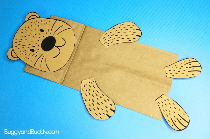 glue the pieces onto your sea otter puppet